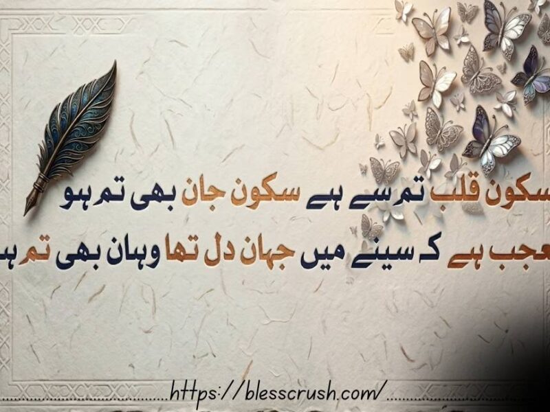 Romantic Urdu poetry image featuring the text "Sukoon e qalb tum se hai" on a vintage paper texture background with 3D butterflies.