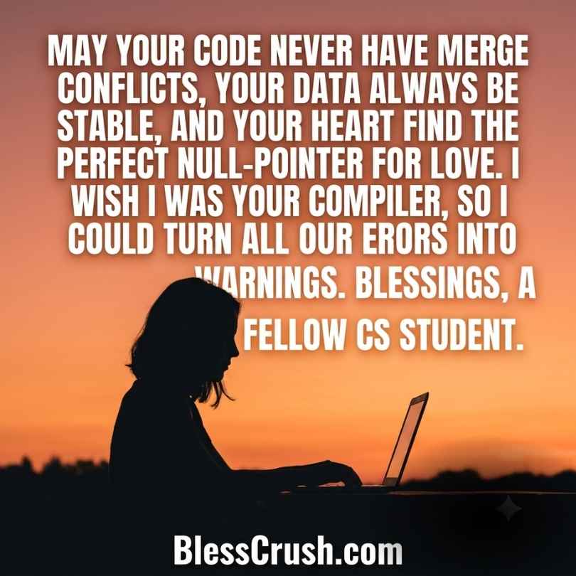 Computer Science Pick Up Lines - silhouette of woman on laptop at sunset with null-pointer love and compiler quote
