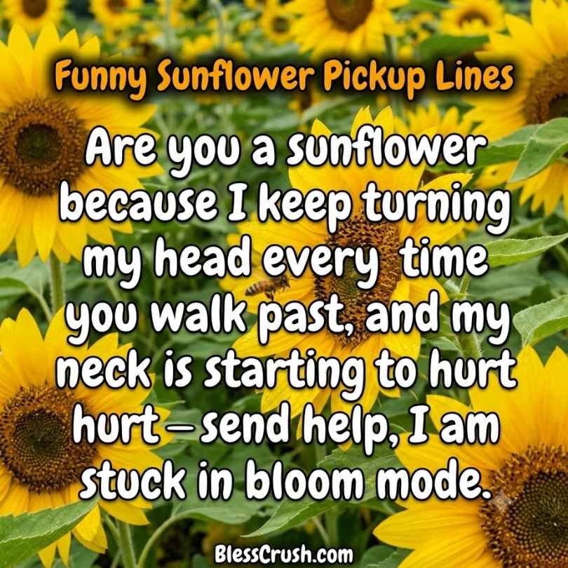 Funny sunflower pick up lines - "are you a sunflower because I keep turning my head" quote