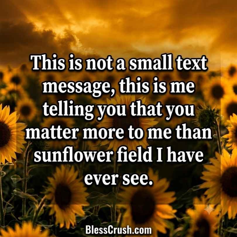 Sunflower pick up lines quote card saying "you matter more to me than any sunflower field"