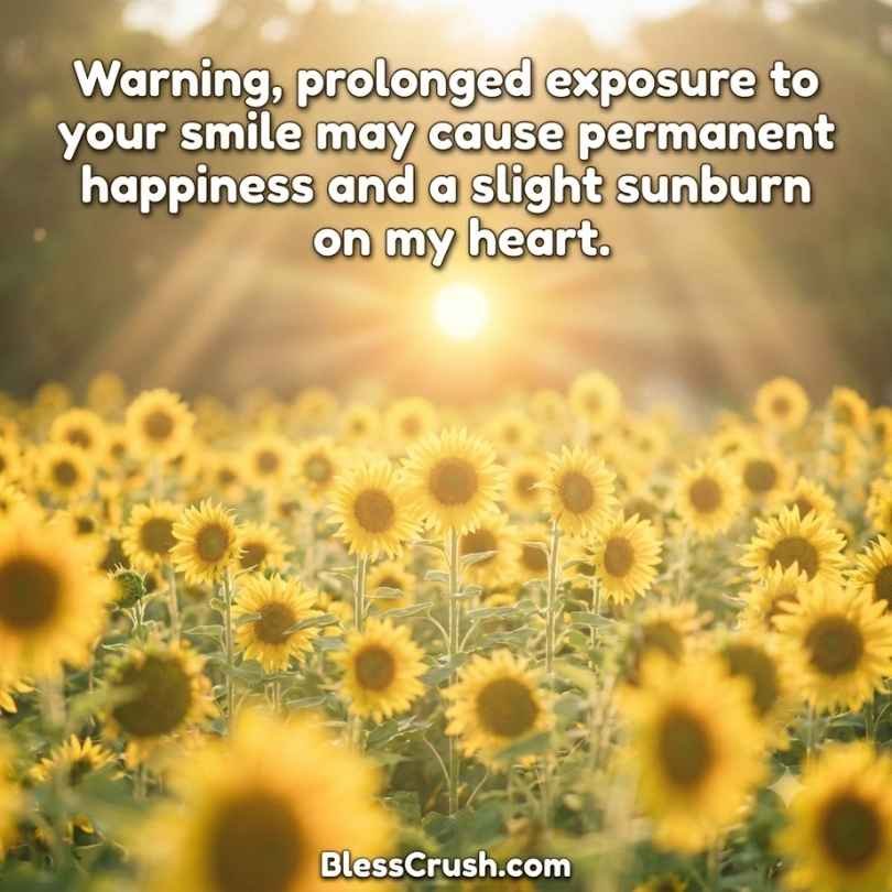 Sun pickup lines sunflower field quote about smile causing sunburn