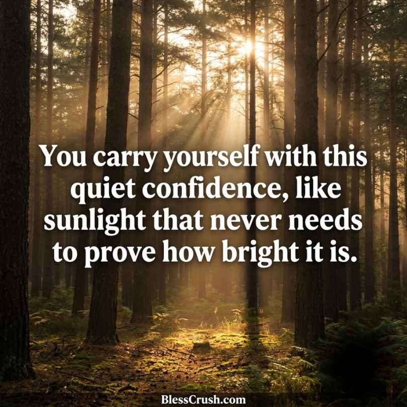 Sun pickup lines forest image about quiet confidence like sunlight